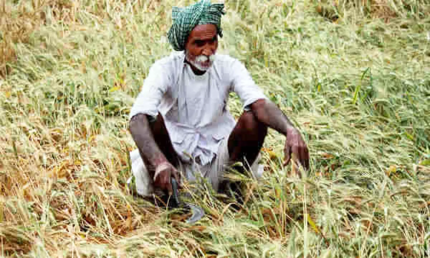 CM शिवराज ने दिया सौगात, एमपी के लाखो किसानो के लिए खुशखबरी! फसल खराब होने पर प्रति हेक्टेयर मुआवजे में ₹5000 की वृद्धि