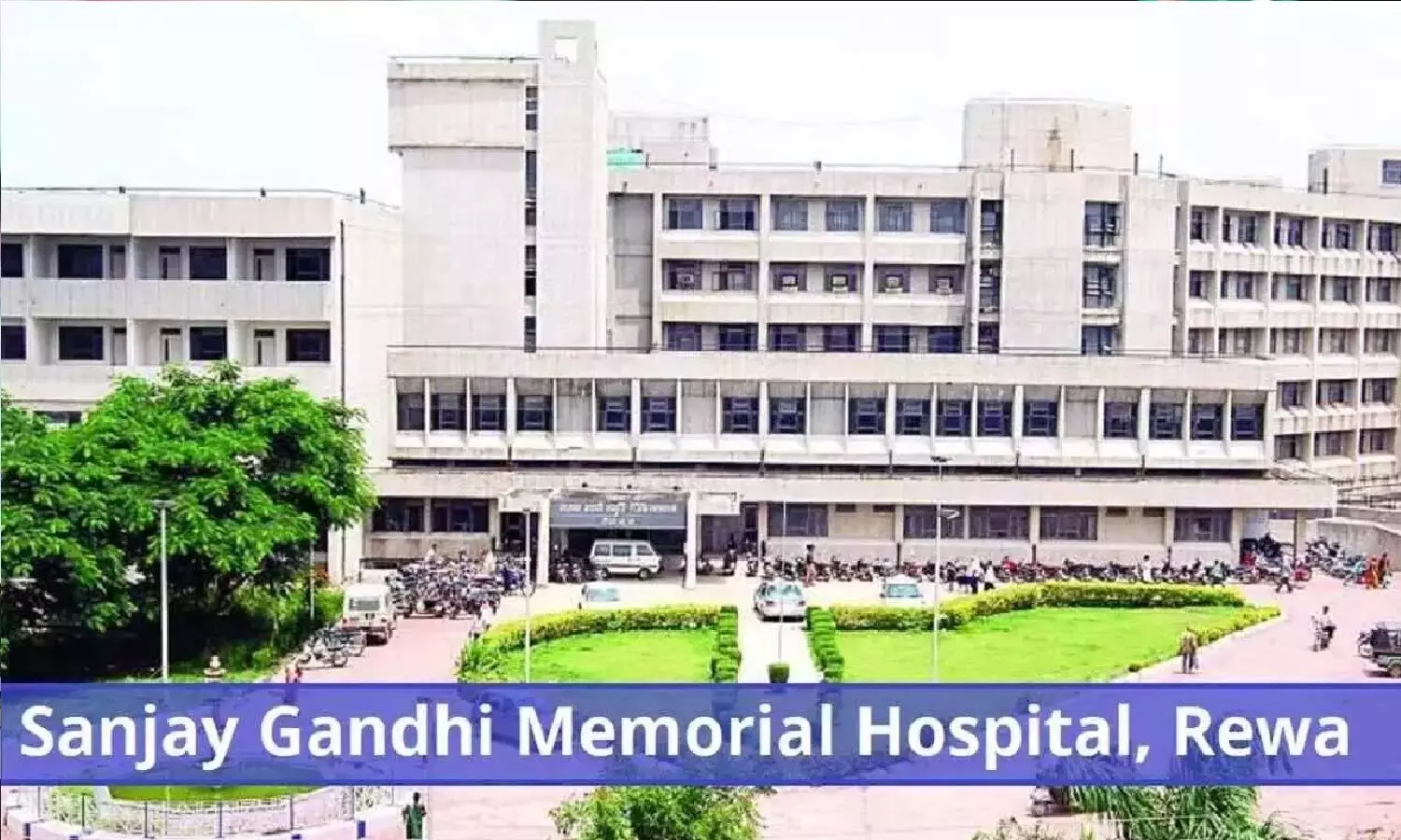 Rewa News: रिटायर्ड फौजी ने राइफल से खुद पर किया फायर, हालत गंभीर Rewa News: रिटायर्ड फौजी ने राइफल से खुद पर किया फायर, हालत गंभीर