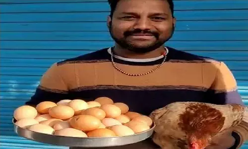 चमत्कारी मुर्गी: एक दिन में 31 अंडे देती है! देखने वालों की भीड़ लगने लगी