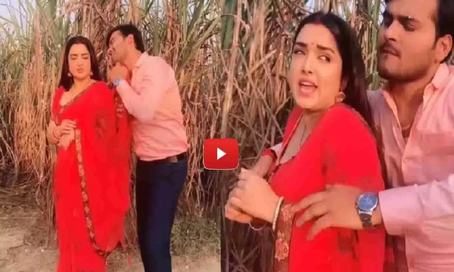Bhojpuri Video: आम्रपाली और अरविंद अकेला ने गन्ने के खेत में किया ऐसा कांड, सीन देखकर आपकी निकलेगी मुंह से आह