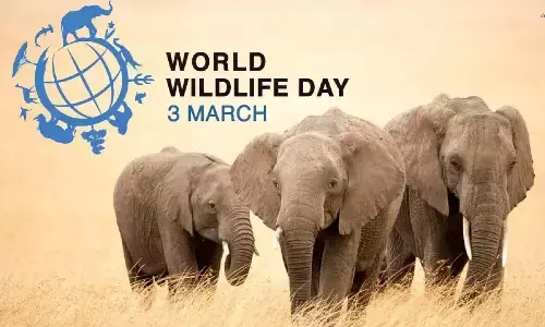 World Wildlife Day 2023 आज, जानें महत्त्व, थीम और इतिहास के बारे में