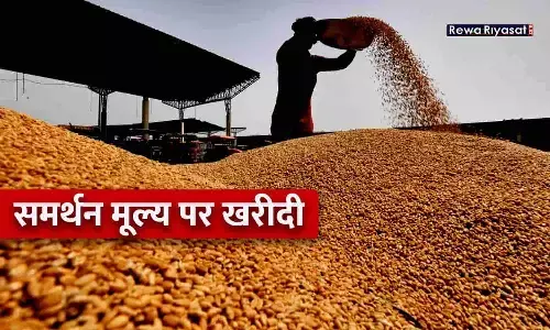 Purchased on support price