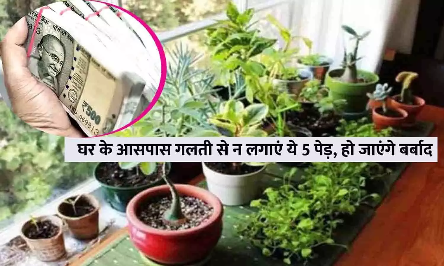 Plants Vastu Tips In Hindi