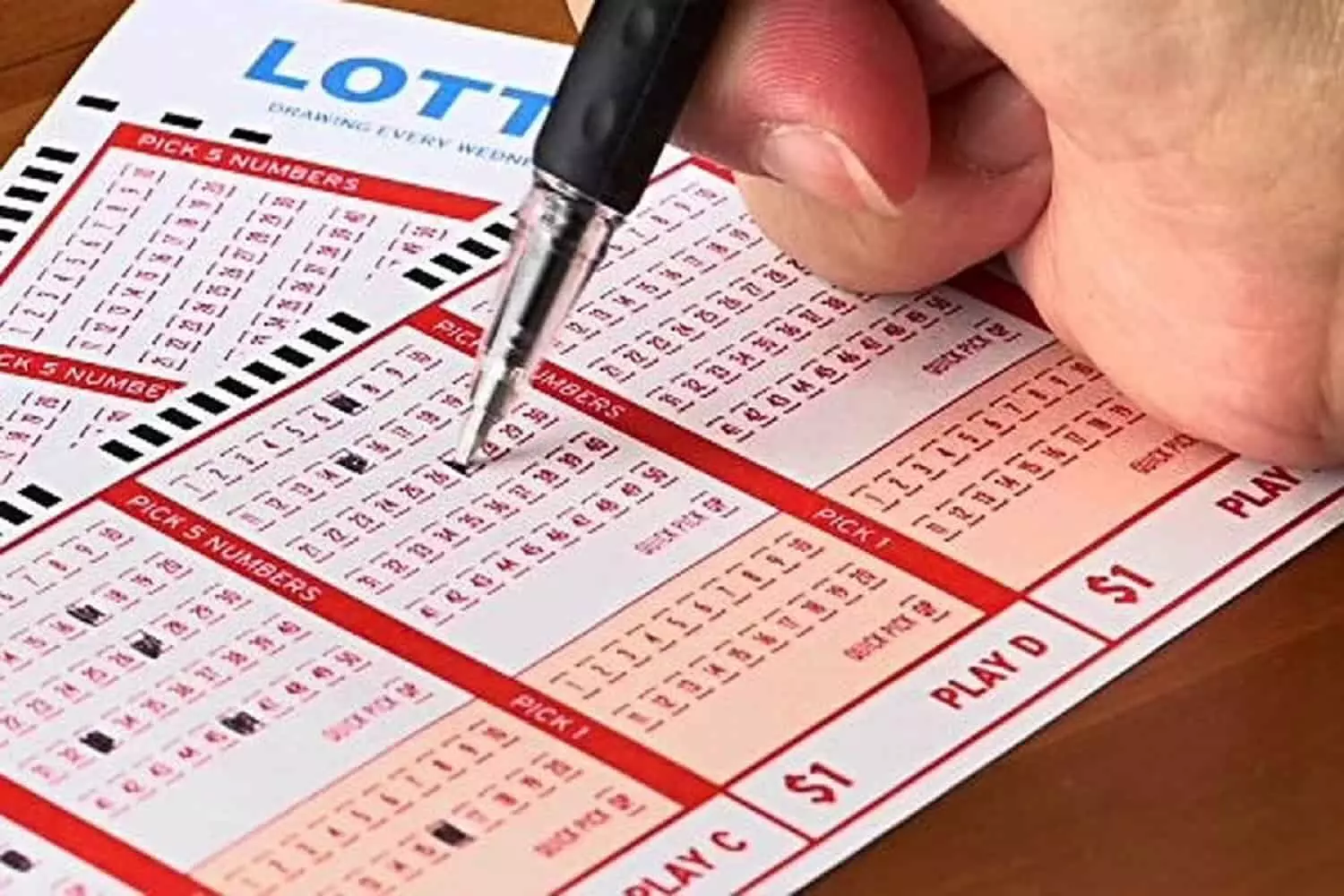 Nagaland State Lottery Sambad Result: लॉटरी संबाद रिजल्ट यहाँ से करें चेक