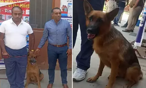 पुलिस के Sniffer Dog Katy ने 30 सेकंड में मर्डर मिस्ट्री का पर्दाफाश कर दिया! कैसे?