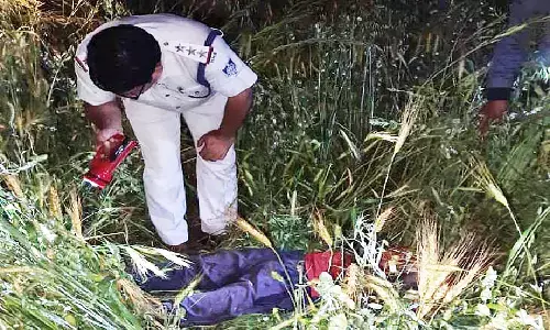 रीवा: खेत में घास लेने गया था किसान, करंट की चपेट में आने से हो गई मौत