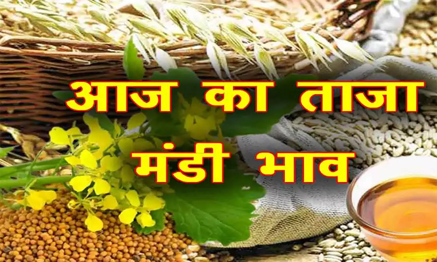 Mandi Bhav: डॉलर चना के दाम में रही वृद्धि तो गेहूं के गिर गए भाव