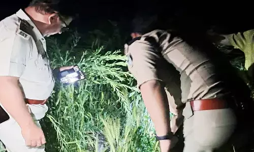 रीवा के पथरी गांव में मिले लापता नाबालिग बच्ची के कटे हुए अंग, नोंच रहे थे स्वान