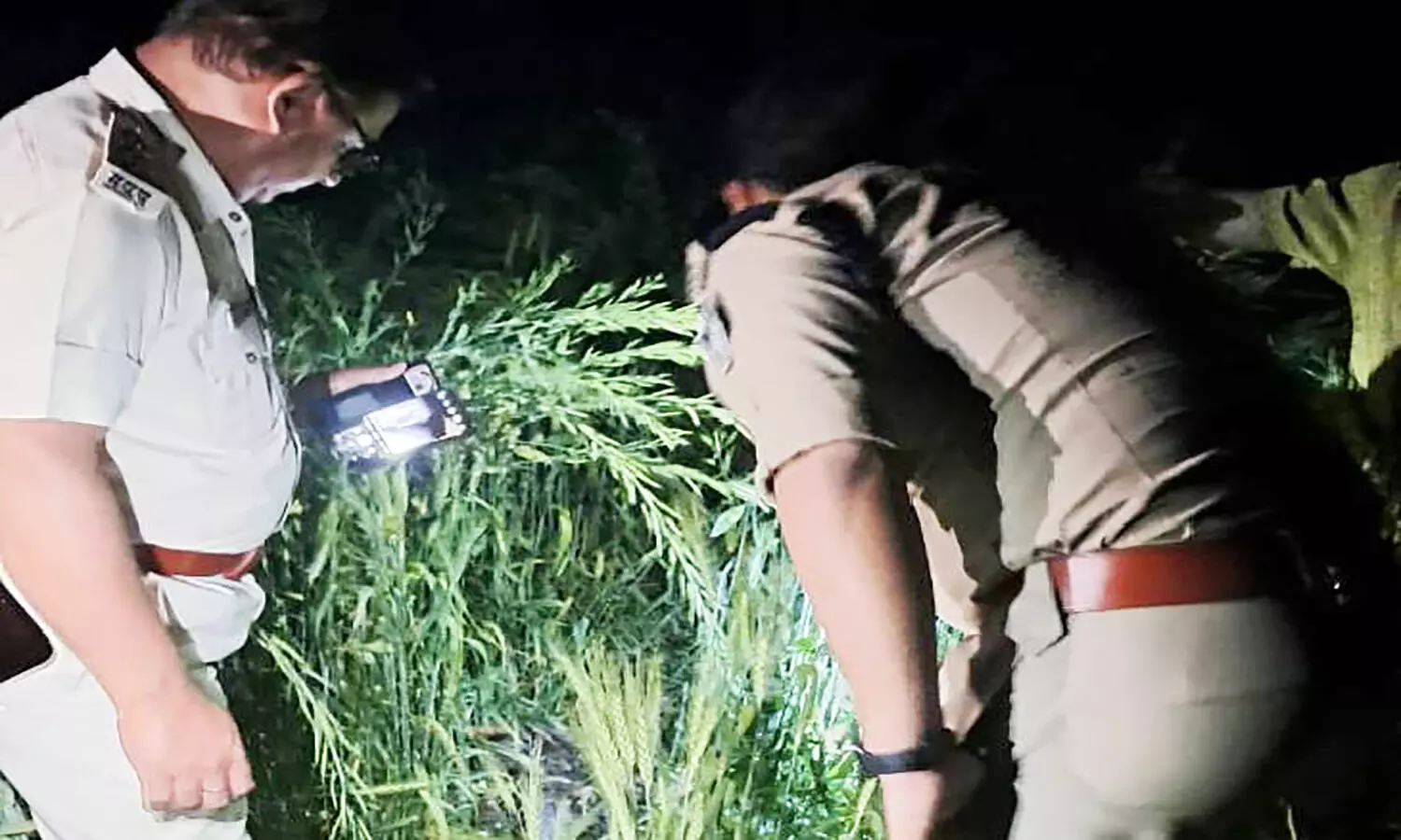 रीवा के पथरी गांव में मिले लापता नाबालिग बच्ची के कटे हुए अंग, नोंच रहे थे स्वान रीवा के पथरी गांव में मिले लापता नाबालिग बच्ची के कटे हुए अंग, नोंच रहे थे स्वान