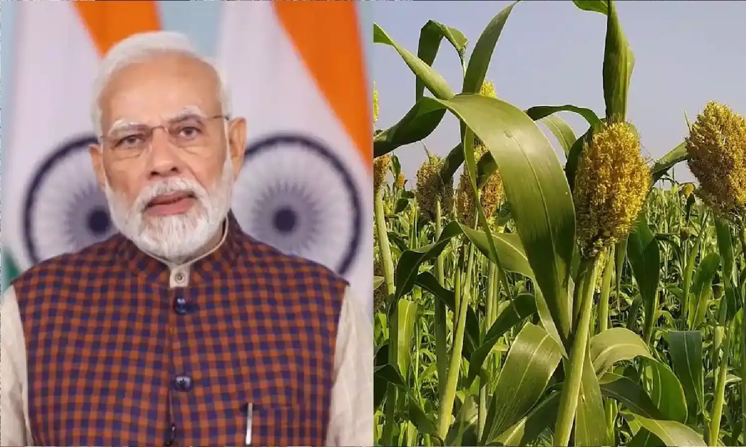 International Year Of Millets 2023: PM मोदी ने ग्लोबल मिलेट्स कॉन्फ्रेंस का उद्घाटन किया, डाक टिकट और सिक्का जारी किया