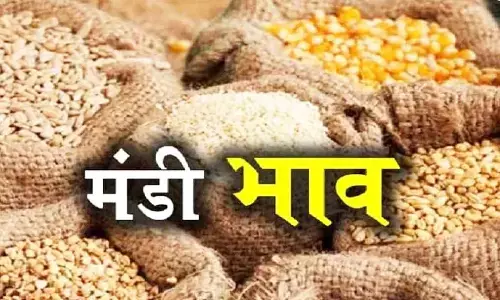 Mandi Bhav: मूंग के दाम में आई गिरावट, सोयाबीन में हुआ सुधार, यहां जानें ताजा मंडी भाव