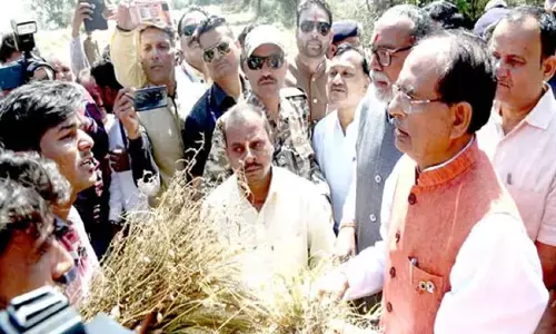 MP Weather News MP Weather News