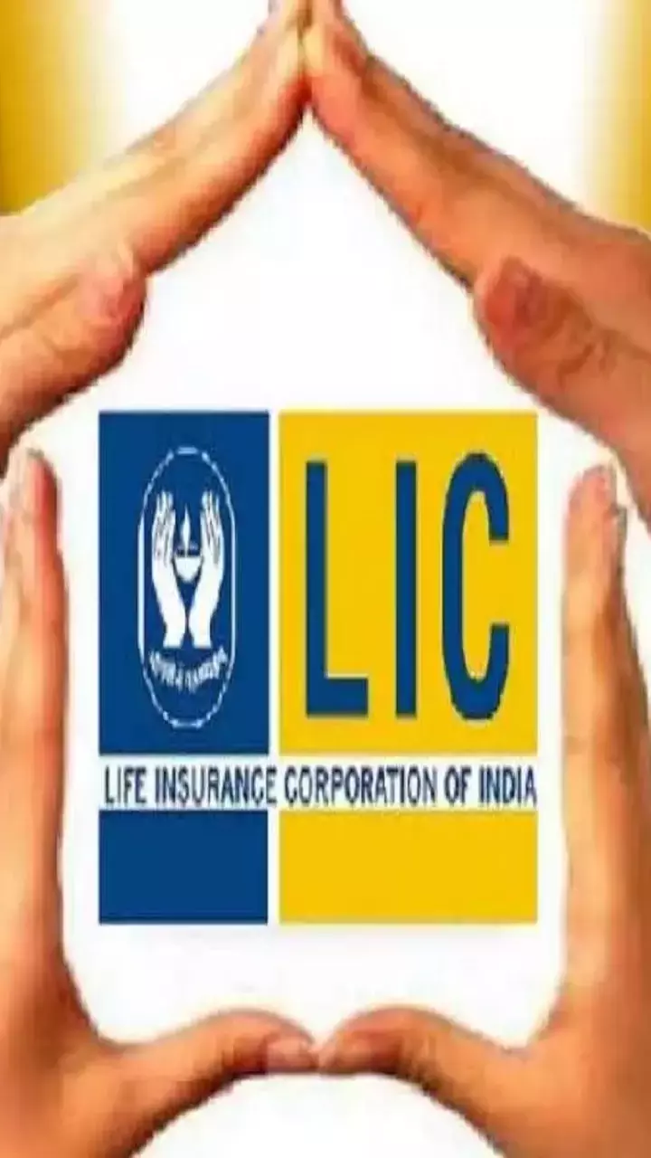 LIC का टॉप-10 निवेश किन कंपनियों में है? जानें यहां