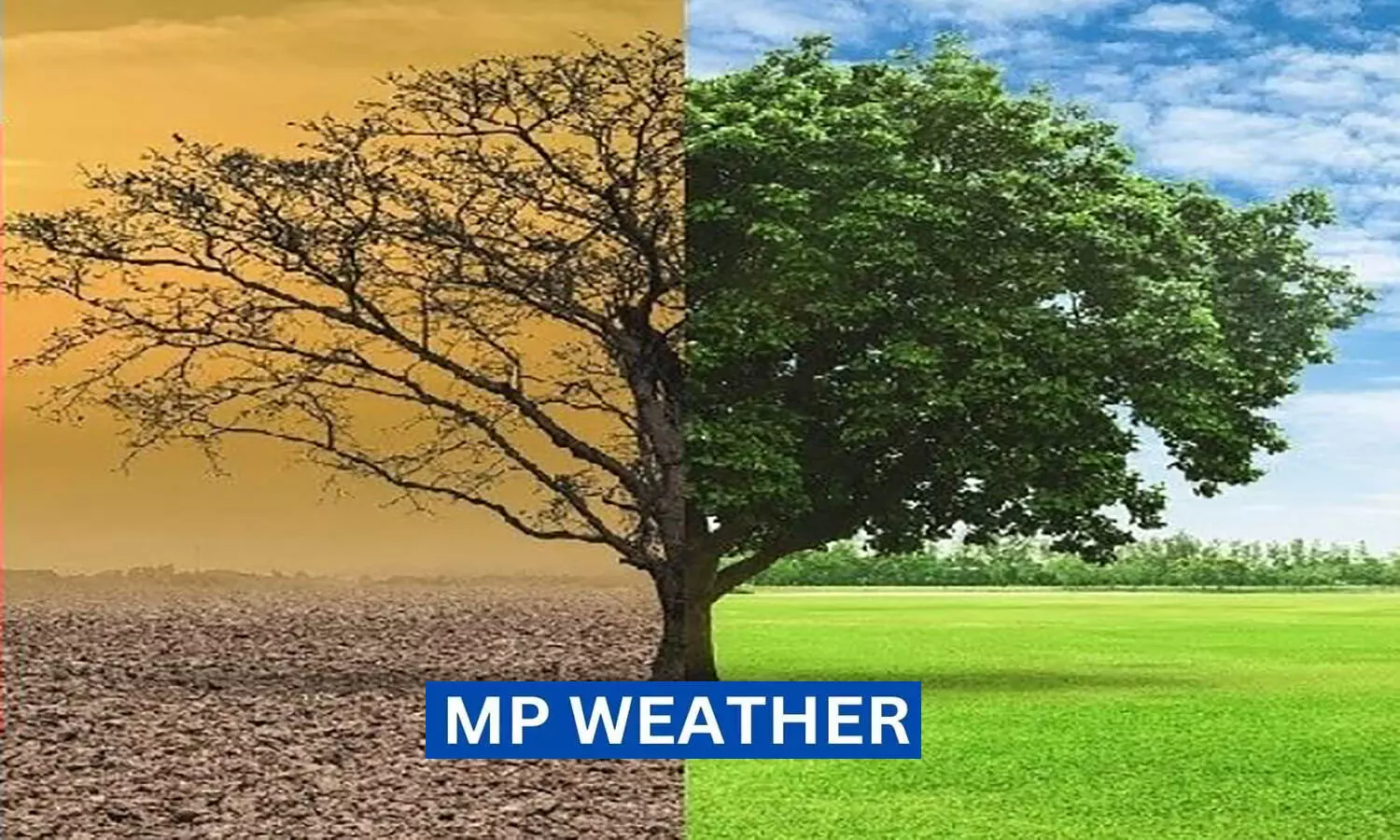 MP Weather: एमपी में लू से लड़ने के लिए गश्त कर रहीं ठंडी हवाएं, अभी नहीं सताएगी गर्मी