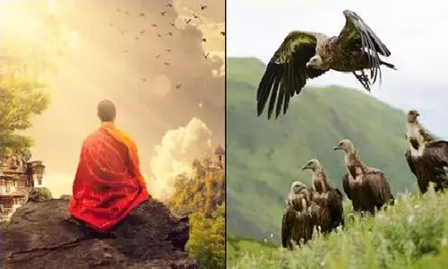 बौद्ध भिक्षुओं का अंतिम संस्कार कैसे होता है? कभी सोचा है! बौद्ध भिक्षुओं का अंतिम संस्कार कैसे होता है? कभी सोचा है!