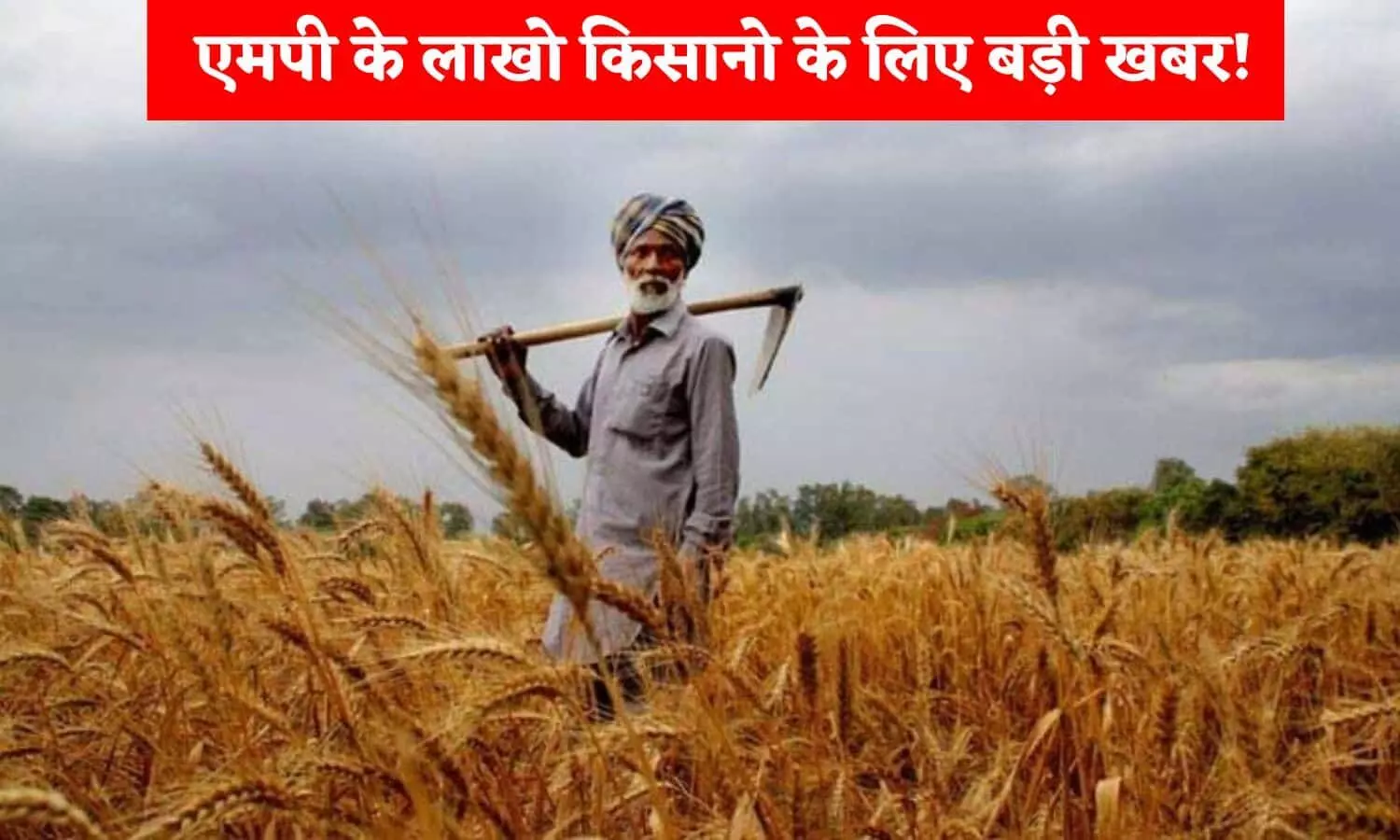 MP Farmers News