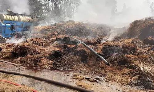रीवा के धौरहरा गांव में आग ने मचाया तांडव, 8 किसानों की फसल व गृहस्थी का सामान जलकर खाक रीवा के धौरहरा गांव में आग ने मचाया तांडव, 8 किसानों की फसल व गृहस्थी का सामान जलकर खाक