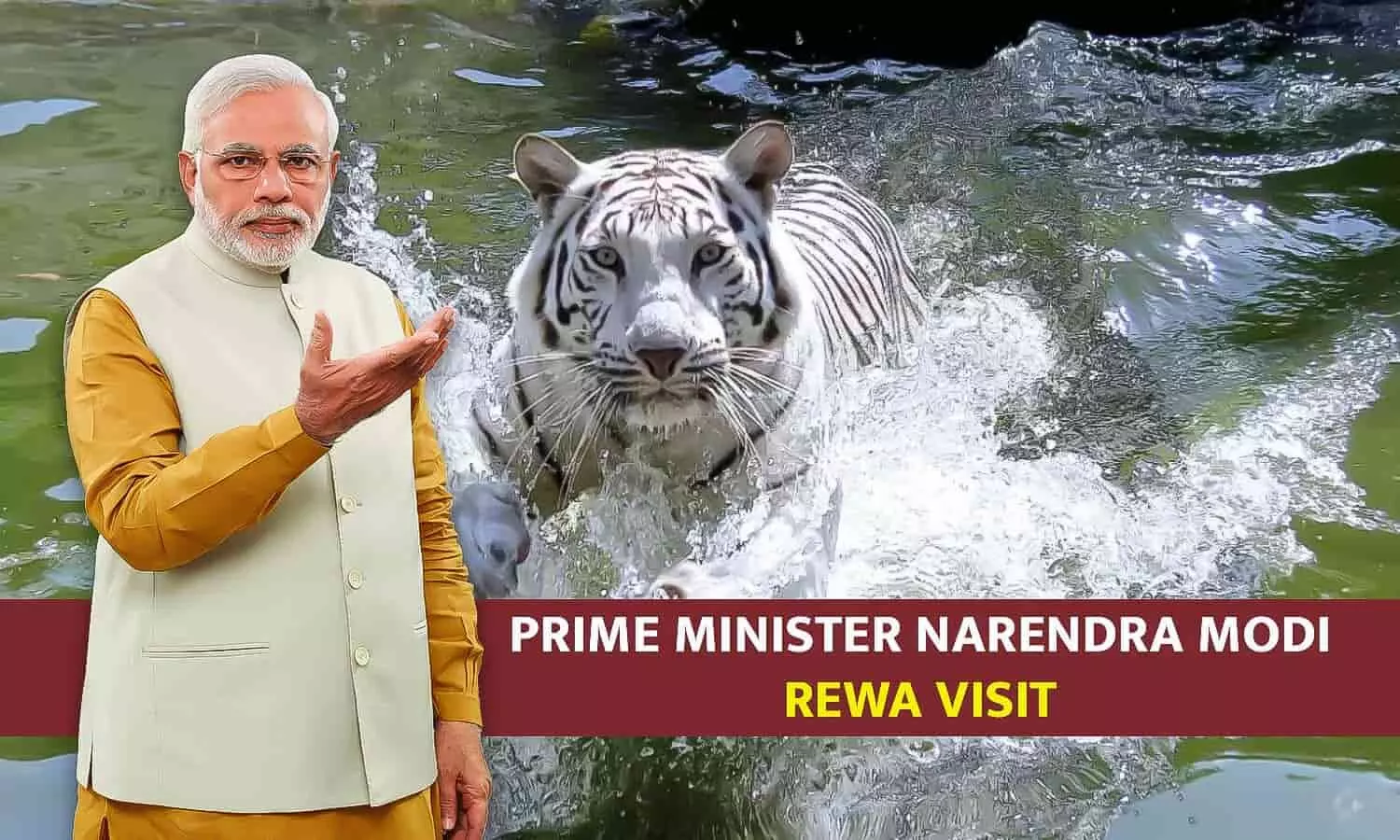 PM Narendra Modi Rewa Visit