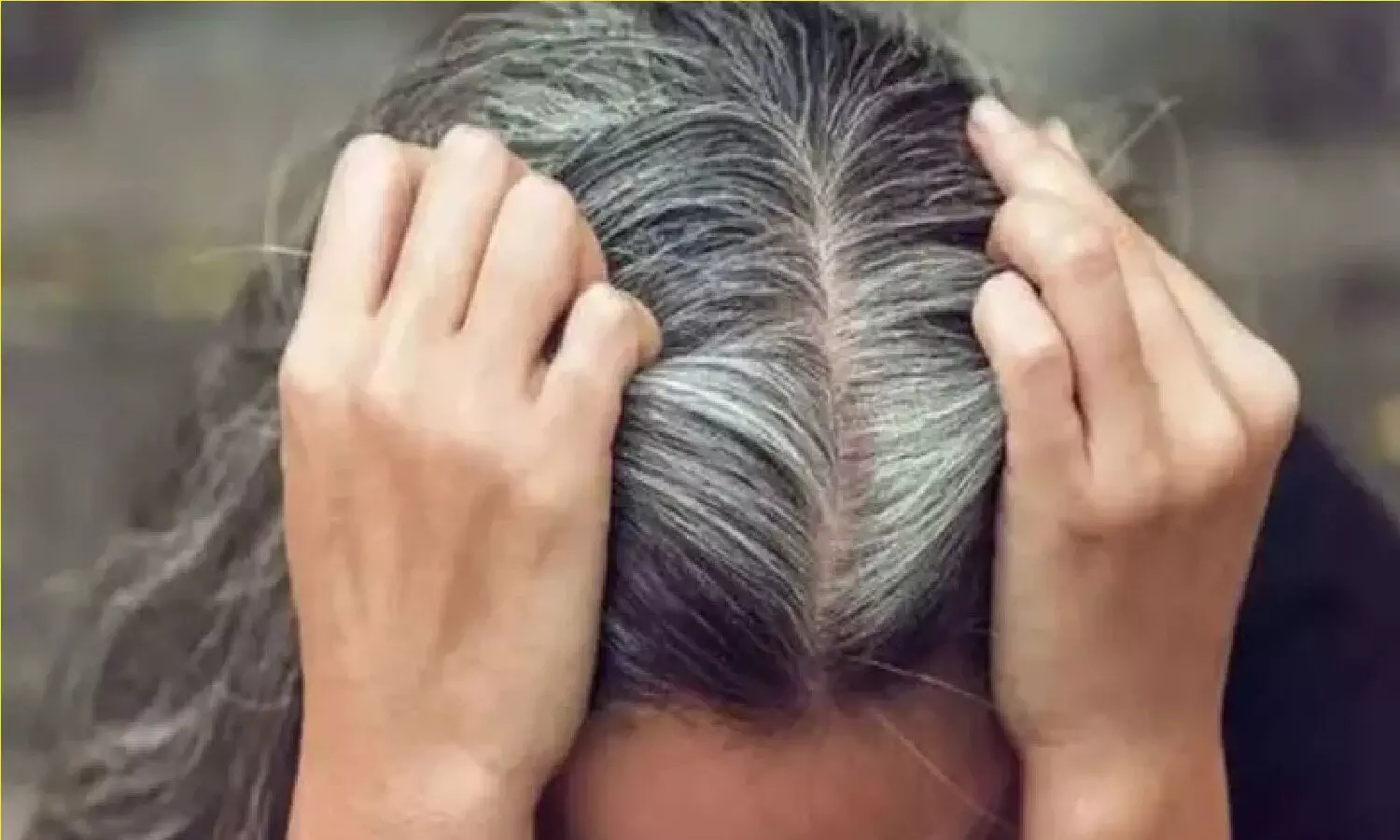 बिना डाई लगाए सफ़ेद बालों को काला कैसे करें? वैज्ञानिकों ने पता कर लिया