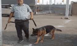 रीवा में धारा 144 लागू! शाम 8 बजे तक प्रभावशील