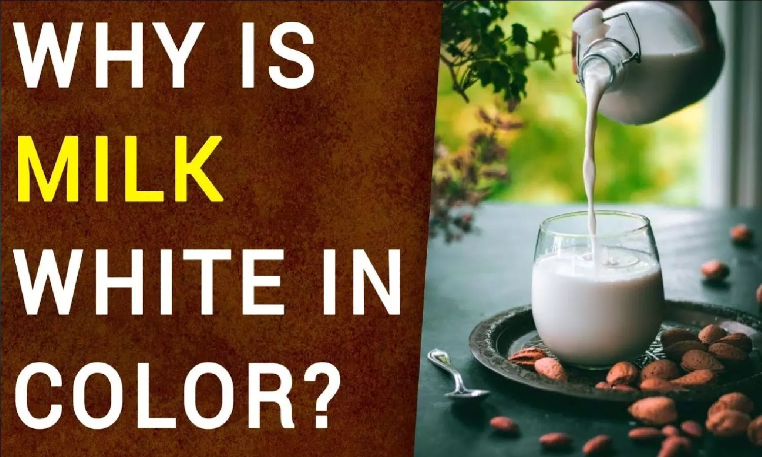Why Color Of Milk Is White: दूध का रंग सफ़ेद क्यों होता है? कभी सोचा है!