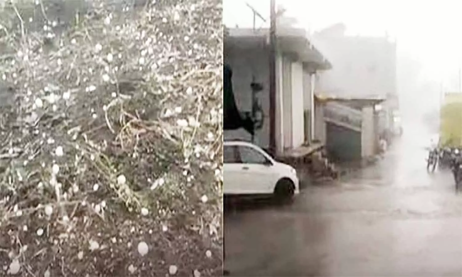 MP Weather: एमपी के जबलपुर और छिंदवाड़ा में गिरे ओले, इन जिलों में अगले चार दिनों तक बारिश की संभावना