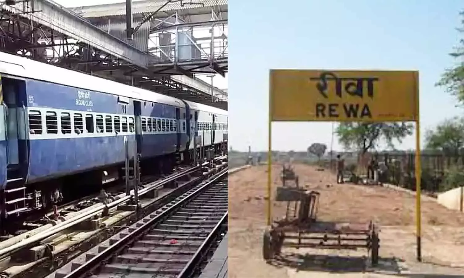 रीवा बिलासपुर एक्सप्रेस को लेकर बड़ा अपडेट! विंध्य को मिल सकती है रायपुर-दुर्ग के लिए ट्रेन की सौगात