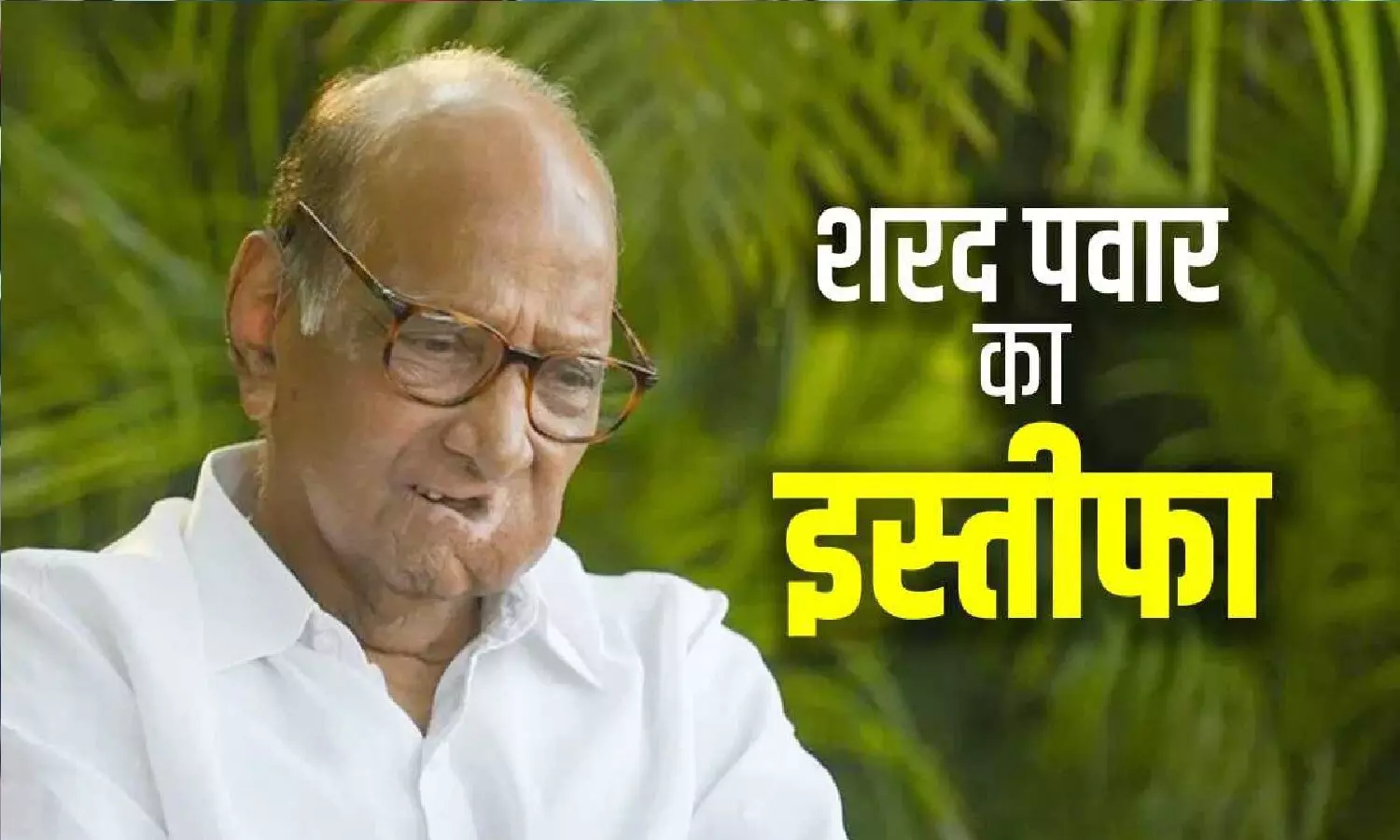 शरद पवार ने NCP अध्यक्ष पद से इस्तीफा दे दिया! लेकिन क्यों? शरद पवार ने NCP अध्यक्ष पद से इस्तीफा दे दिया! लेकिन क्यों?