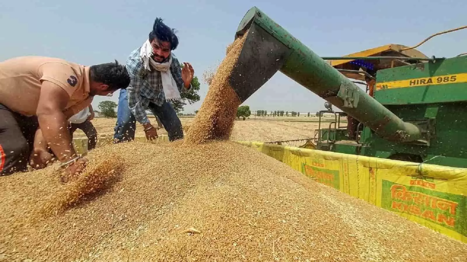 Wheat MSP In Hindi