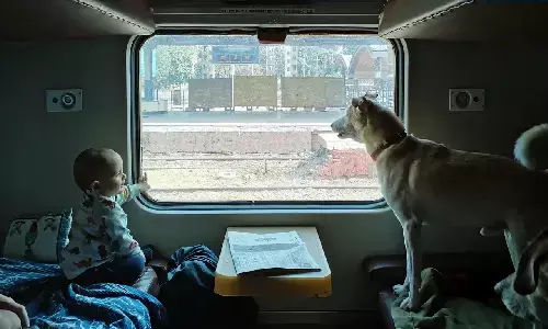 क्या ट्रेन में पालतू जानवरों को साथ ले जा सकते हैं? ट्रेन में पेट्स को साथ ले जाने का प्रोसीजर क्या है क्या ट्रेन में पालतू जानवरों को साथ ले जा सकते हैं? ट्रेन में पेट्स को साथ ले जाने का प्रोसीजर क्या है
