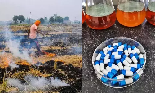Good News: किसान भाइयों के लिए बड़ी खबर, अब पराली जलाने से मिलेगा छुटकारा, कैप्सूल ही कर देगी काम तमाम