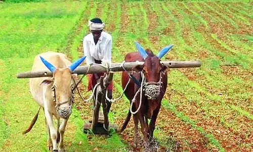 किसानों के लिए राहत भरी खबर, ब्याज माफी योजना के निर्देश जारी, यहां पर जानें नियम व पूरी प्रक्रिया