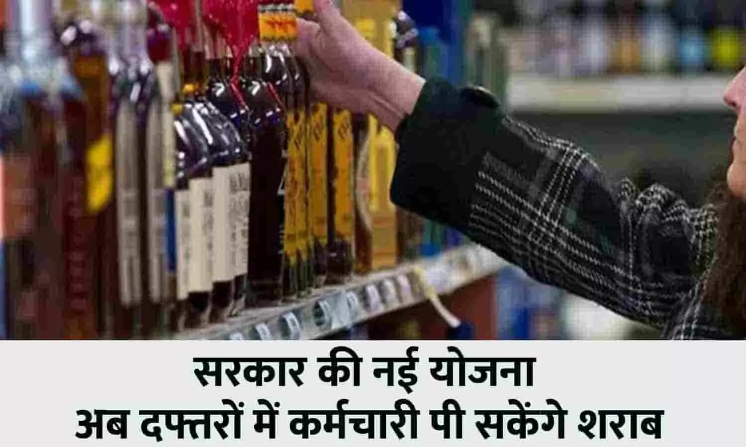 Haryana Liquor Policy 2023