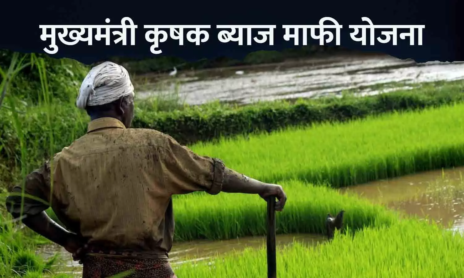 मुख्यमंत्री कृषक ब्याज माफी योजना: रीवा में 25 हजार से अधिक किसानों के ऋण का ब्याज माफ होगा, समितियों को भी मिलेगी संजीवनी