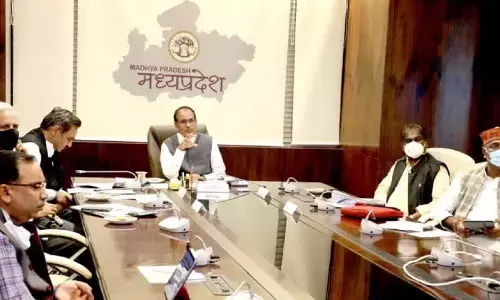 MP Sabji Beej Vikreta License