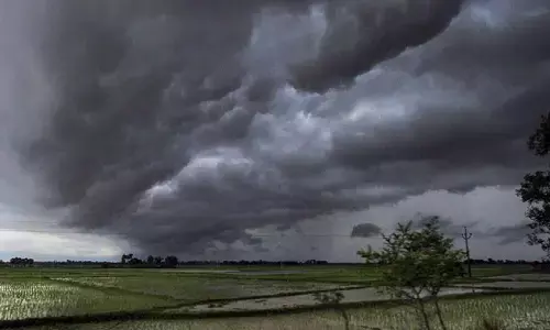 Chhattisgarh Monsoon Forecast 2023: IMD का मानसून को लेकर दी बड़ी अपडेट, फटाफट से जानें