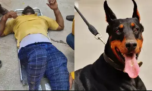 डिलवेरी बॉय को कस्टमर के कुत्ते ने दौड़ाया, तीन मंजिल नीचे गिरा! मालिक पर केस दर्ज