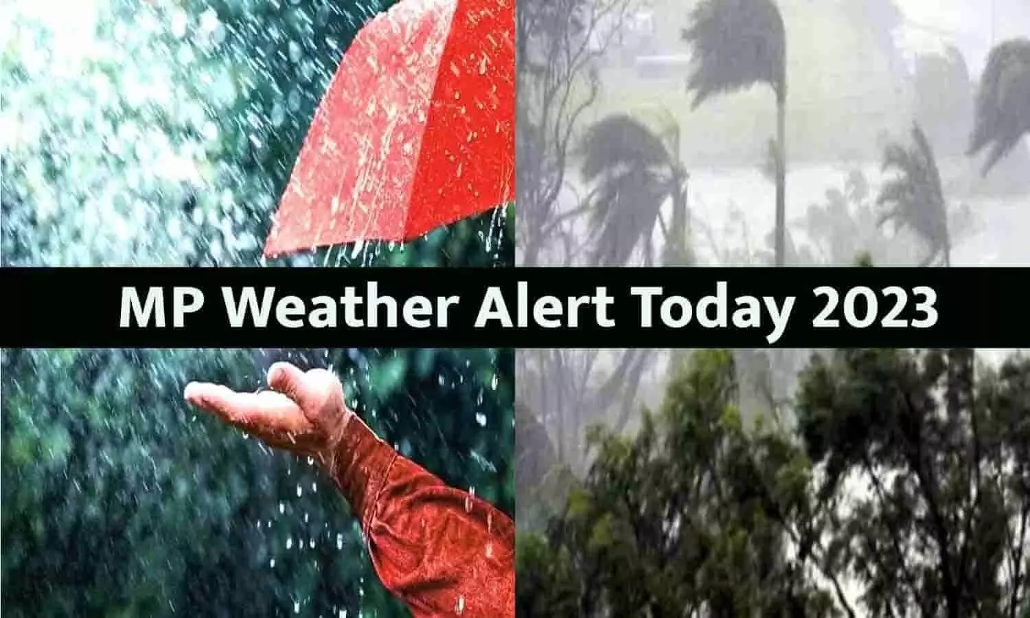 MP Weather Alert: एमपी के 6 संभाग और 10 जिलों में आंधी-बारिश के आसार, गिरेंगे ओले, होगी लाइट बंद, तुरंत कर ले मोबाइल चार्ज, फटाफट जाने Latest Update