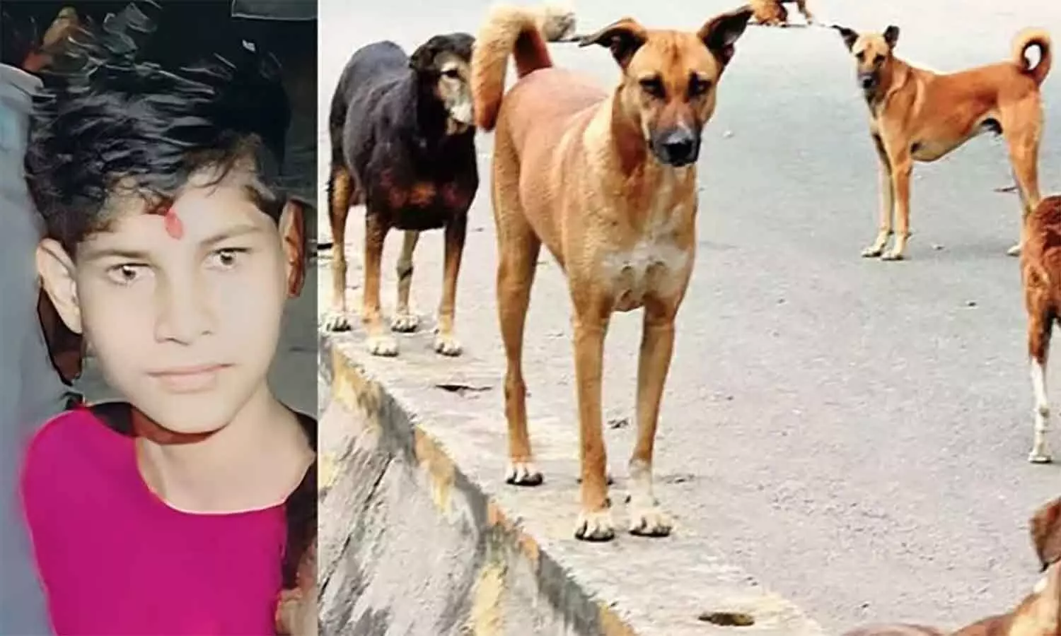 एमपी के दमोह में मासूम को मोबाइल चलाने से रोका तो घर से भाग गया, जंगल में कुत्तों ने नोच खाया