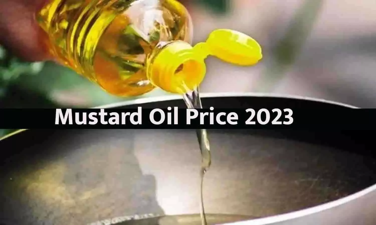 Mustard Oil Price 2023