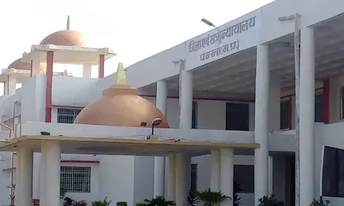 एमपी के पन्ना में प्रेमी ने महिला को पत्थर से कुचलकर उतार दिया था मौत के घाट, न्यायालय ने सुनाया आजीवन कारावास