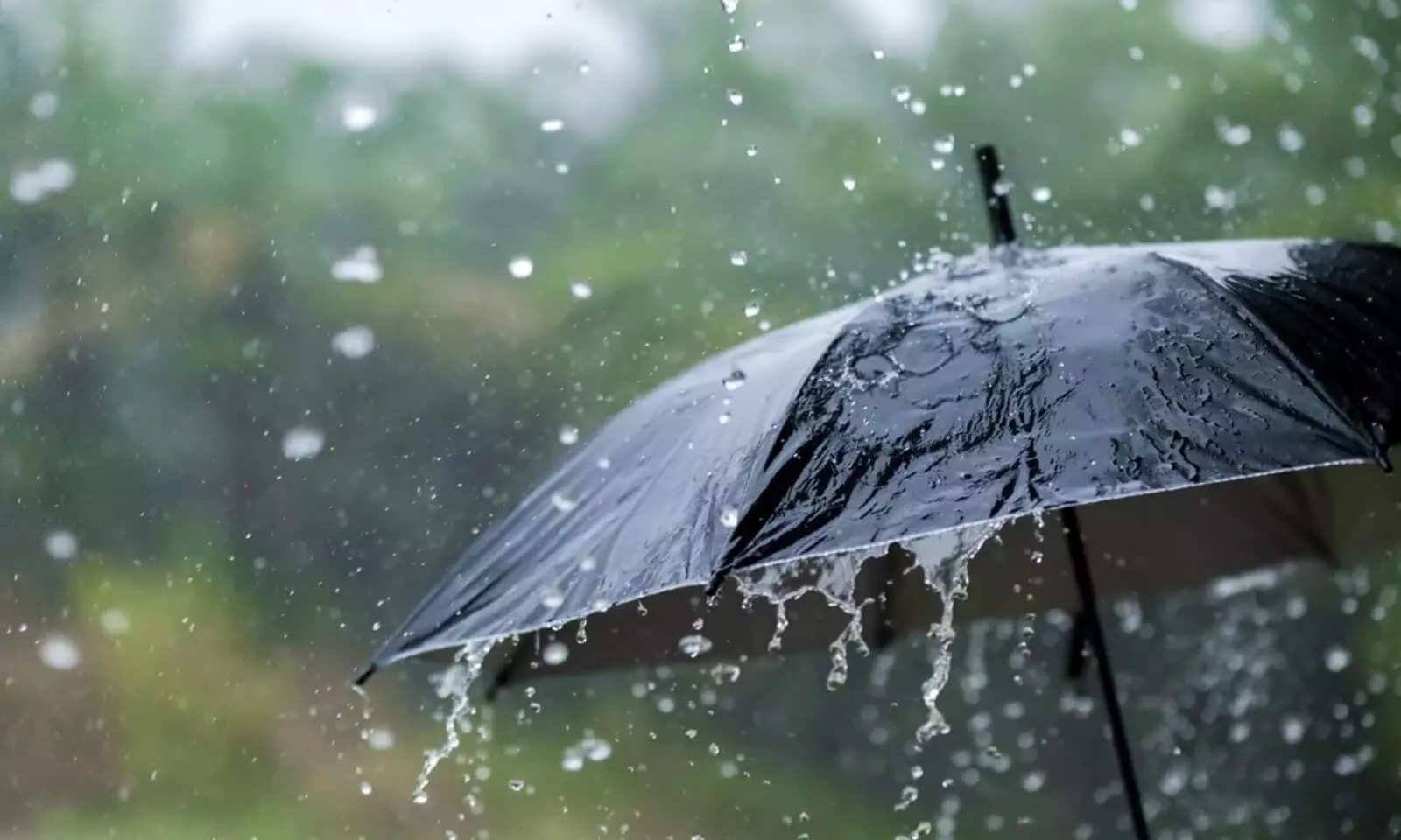 Weather Forecast: पश्चिमी विक्षोभ का असर हुआ तेज, 12 जिलों में मूसलाधार बारिश, जारी हुआ Yellow Alert! जानें