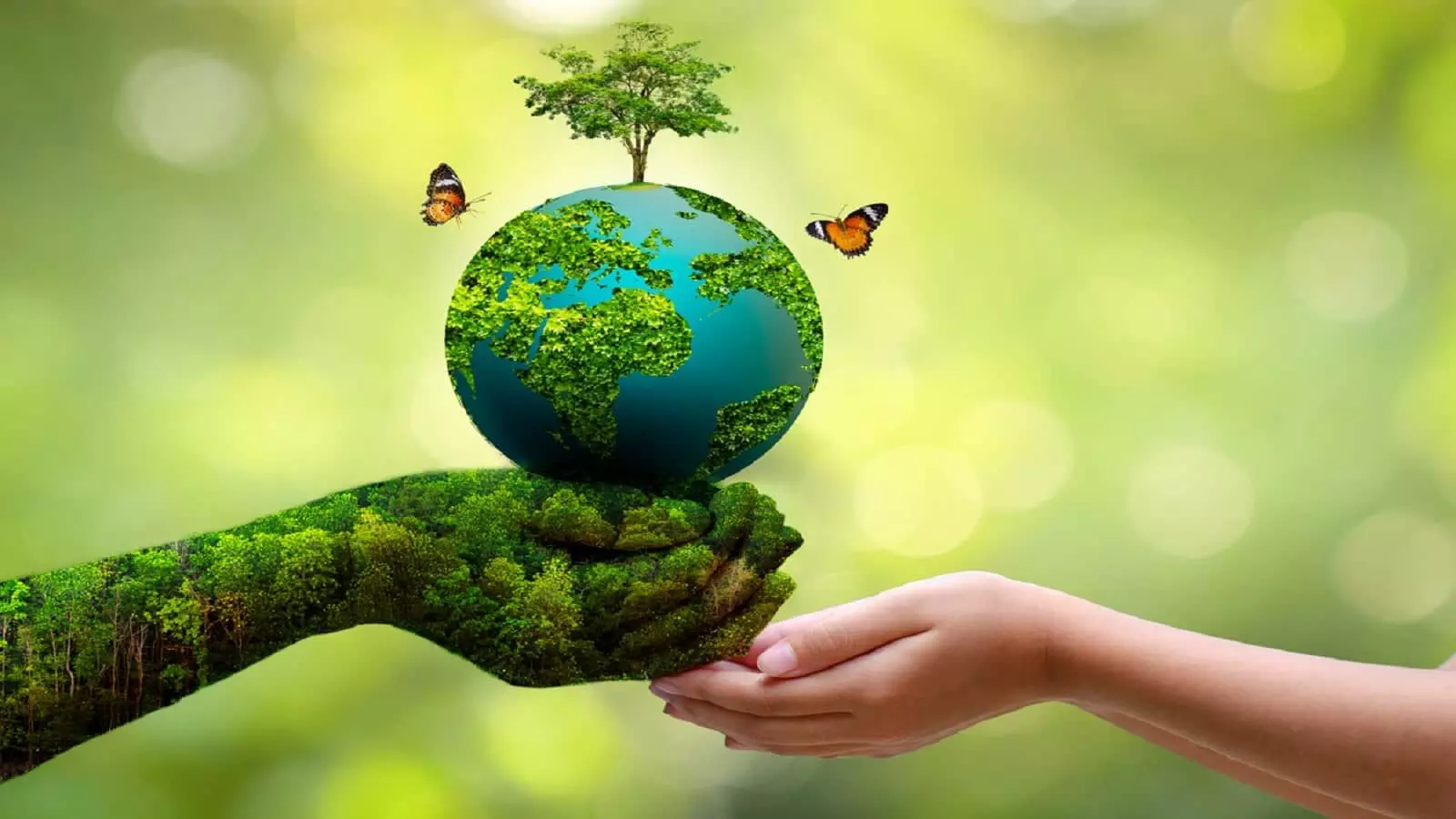 5 June 2023 World Environment Day Speech, Theme, Significance: जानें विश्व पर्यावरण दिवस से जुडी महत्वपूर्ण बातें
