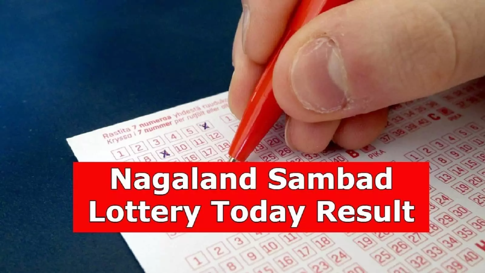 Nagaland State Dear Dwarka Monday Weekly Lottery Result 05 June 2023: ये हैं करोड़ों कमाने वाले लकी नंबरों की लिस्ट