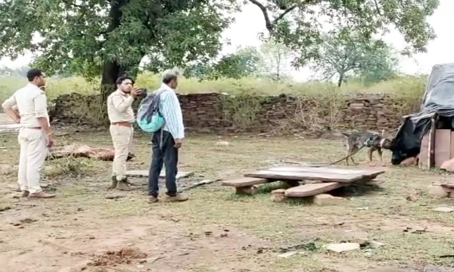 एमपी के सतना में तेंदुए का शिकार, परसमनिया के जंगल में मिला शव