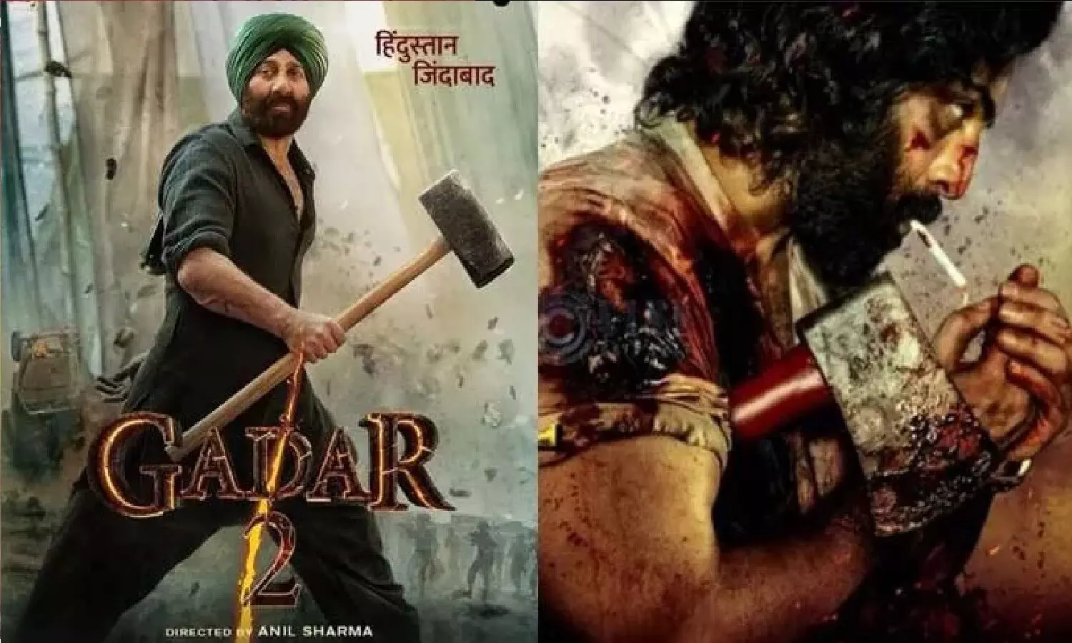 Gadar 2 के डर से Ranbir Kapoor की Animal पोस्टपॉन्ड हो गई?