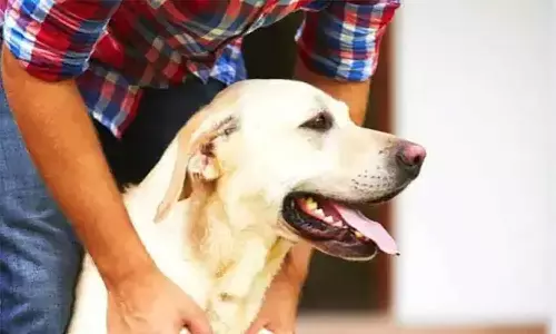 एमपी के देवास में पालतू कुत्ते के भौंकने पर 3 लोगों को मार दी गोली, 2 की मौत