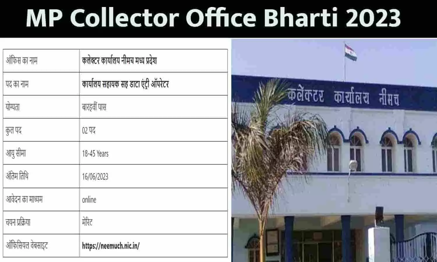 MP Collector Office Bharti