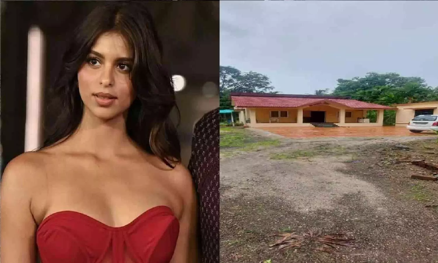 जमीन खरीदने के लिए SRK की बेटी सुहाना खान किसान बन गईं! अलीबाग में 13 करोड़ की एग्रीकल्चर लैंड खरीदी