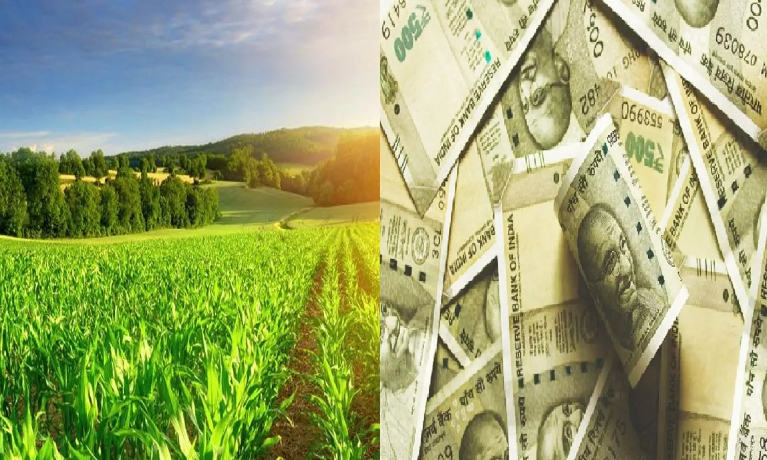 Farming Business Ideas 2023